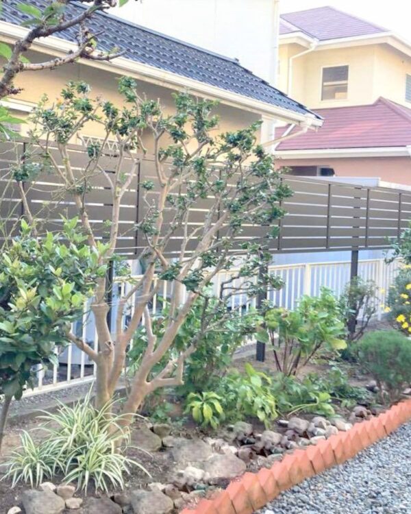 プライバシーと安全性を両立！LIXILフェンスで快適なお庭空間に